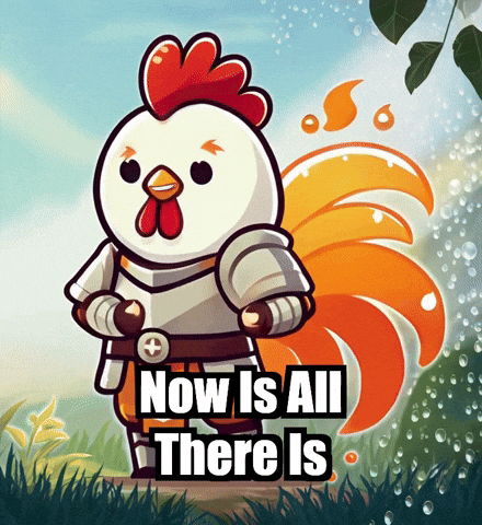 Joy Mindfulness GIF by Zorooster