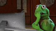 Frog Laptop GIF