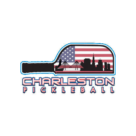 5IVEZERO giphygifmaker pickleball scarpa 5ivezero Sticker