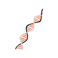 utsaNDRB dna gene helix utsa Sticker