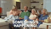 Australian Tv GIF by Gogglebox Australia
