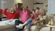 Australian Tv Wow GIF by Gogglebox Australia