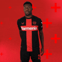 Bayer 04 No GIF by Bayer 04 Leverkusen