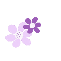 Instagram Flower Sticker