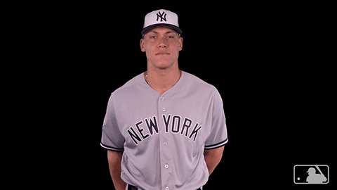 New York Yankees No GIF by MLB