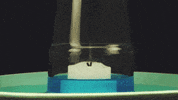 cool science GIF by Diply