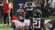 Houston Texans Football GIF by NFL