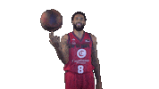Liga Endesa Spinning Sticker by ACB