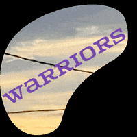 321Geaux warriors geauxfit 321geaux GIF
