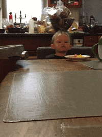 shwirtz food baby eating table GIF
