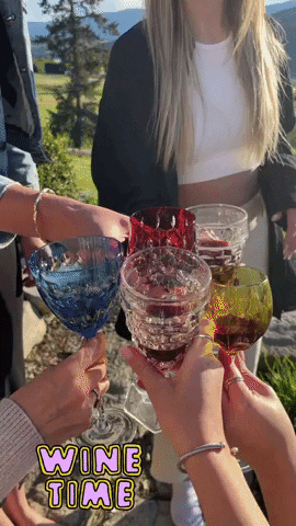 Drink Up Girls Night Out GIF by Crystal Hills Organics