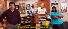 ron swanson whatever GIF