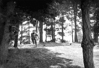 buster keaton GIF by Maudit