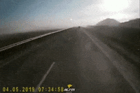 madmoizelledotcom  GIF