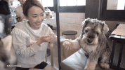 softpomz ok GIF