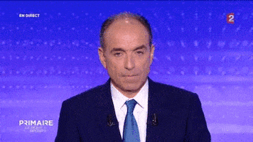 mimique GIF by franceinfo