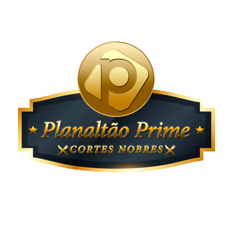 Mktplanaltao Sticker by Germânia