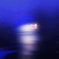 sid3liii sidali sid3li سيدعلي GIF