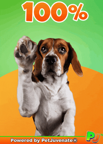 PetJuvenate  GIF