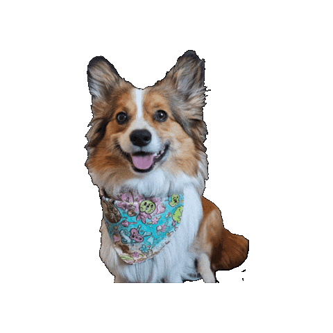 Corgi Bentley Sticker by Geekster Pets