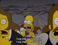 homer simpson GIF