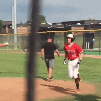 rawlingstigers baseball mlb fist rawlings GIF