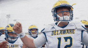 Football Unity GIF by Delaware Blue Hens