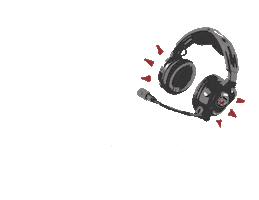 South Carolina Radio Sticker by gamecocksonline