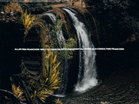 Happy Laugh GIF by FranchiseONE.de