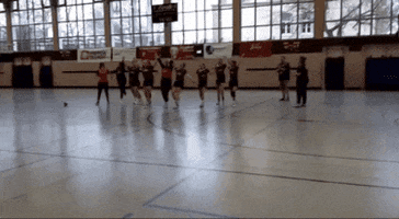 HandballTaucha handball sieg teamgeist vereinsleben GIF