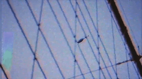 Music Video Pop GIF by MARIS