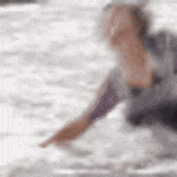 gifs for ants GIF