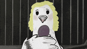 season 1 cats GIF by Animals