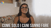 Matrimonio GIF by discovery+