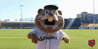 james lebron GIF by Gwinnett Stripers