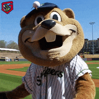 listening chopper GIF by Gwinnett Stripers