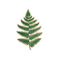Tour Sticker by Kwiat Jabłoni