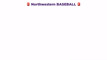 Rahhhh GIF by Northwestern Athletics