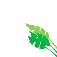 Plant Leaves Sticker by Boletim Econômico