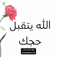 Eid Allah GIF by VeganArabs