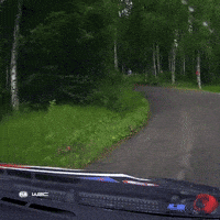 Trying Hard Never Give Up GIF by FIA World Rally Championship