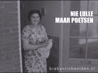 Eindhoven Brabant GIF by BrabantinBeelden