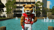 houstoncougars houston sasha gocoogs shasta GIF