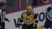 nhl sports sport hockey nhl GIF