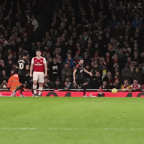 Premier League Sport GIF by CPFC