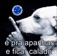 Cruzeiro Esporte Clube GIF
