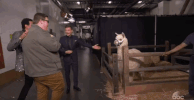 season 16 GIF by American Idol