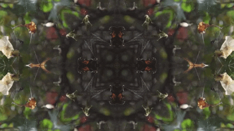 Art Love GIF by jorgemariozuleta