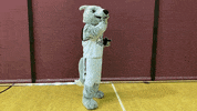 Wolf Pack Kiss GIF by Cardinal Stritch University