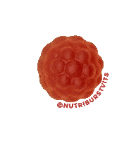 Nutriburst fun health yummy delicious Sticker